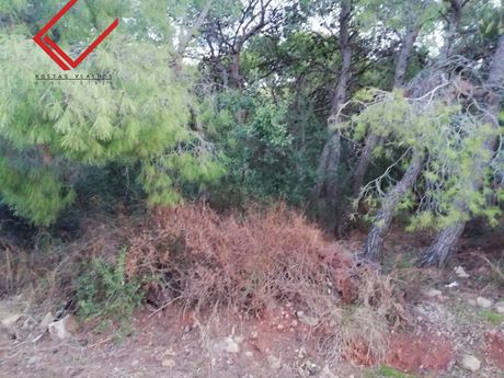 Οικόπεδο 1.750τ.μ. για πώληση-Κορωπί » Άγιος δημήτριος