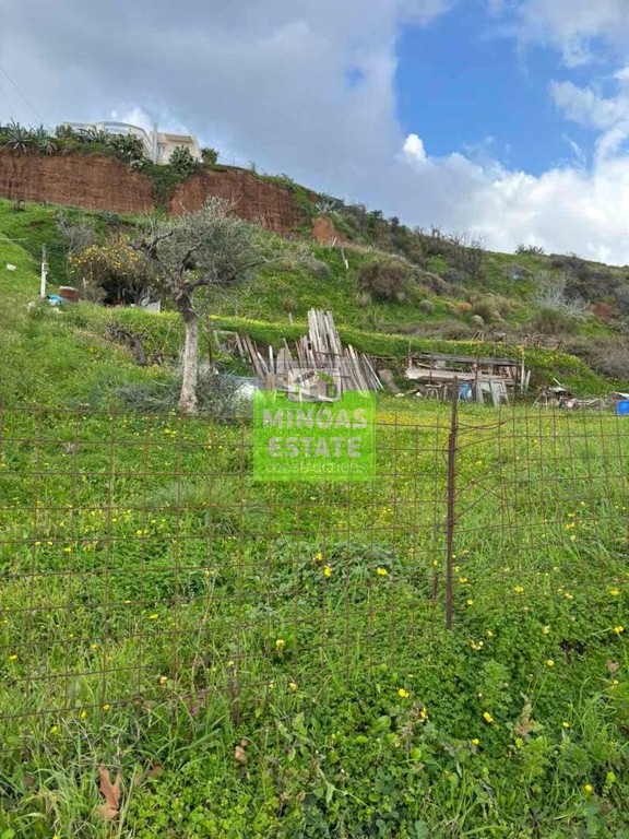 Οικόπεδο 1.020 τ.μ. προς πώληση, Τράχηλος