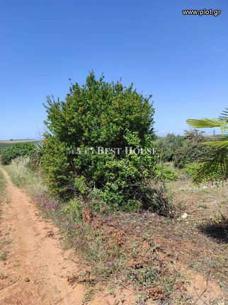 Αγροτεμάχια 298 τ.μ. για πώληση, Χαλκιδική, Μουδανιά