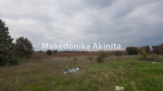 Αγροτεμάχια 5.125 τ.μ. πρός πώληση, Θεσσαλονίκη - Περιφ/Κοί Δήμοι, Θέρμη
