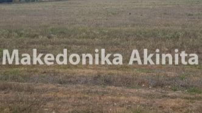Αγροτεμάχια 5.125 τ.μ. πρός πώληση, Θεσσαλονίκη - Περιφ/Κοί Δήμοι, Θέρμη