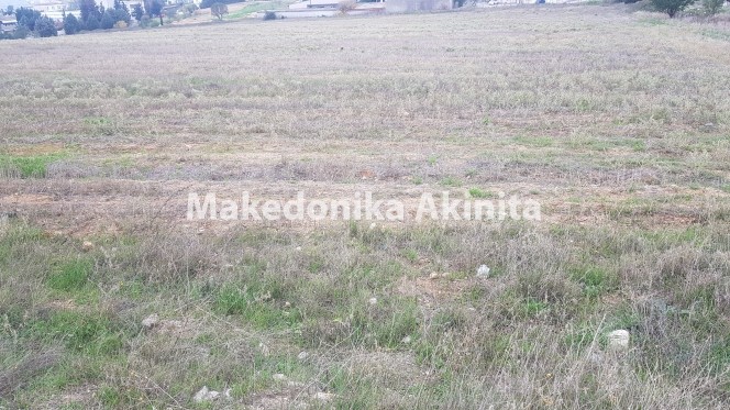 Αγροτεμάχια 5.125 τ.μ. πρός πώληση, Θεσσαλονίκη - Περιφ/Κοί Δήμοι, Θέρμη