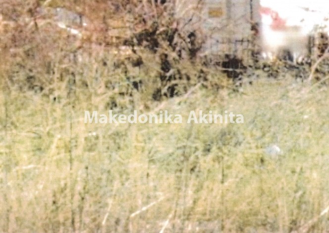 Οικόπεδο 186 τ.μ. πρός πώληση, Θεσσαλονίκη - Περιφ/Κοί Δήμοι, Ελευθέριο-Κορδελιό