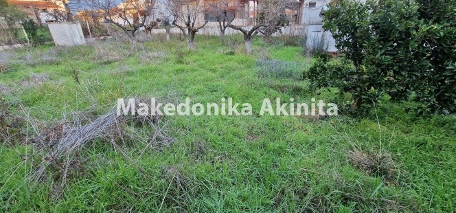 Οικόπεδο 500 τ.μ. πρός πώληση, Χαλκιδική, Μουδανιά