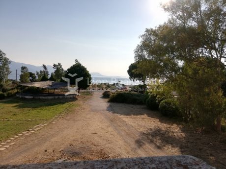 Οικόπεδο 5.000τ.μ. για πώληση-Αλεποχώρι