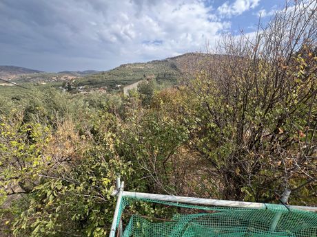 Οικόπεδο 239,96 τ.μ. για πώληση