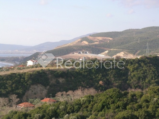 Αγροτεμάχια 4.048 τ.μ. πρός πώληση, Ν. Σερρών, Αμφίπολη