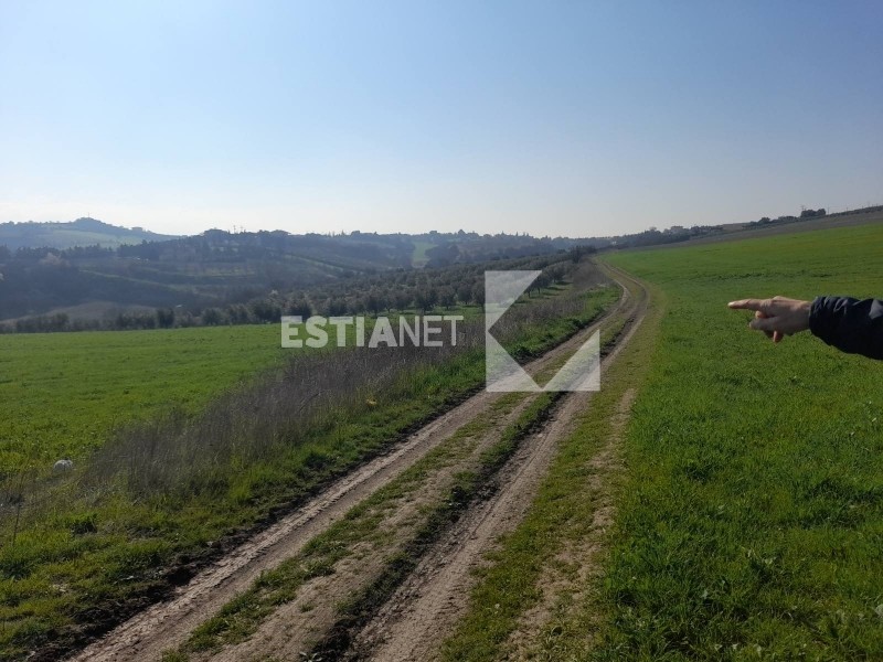 Αγροτεμάχια 4.500 τ.μ. προς πώληση, Περαία Θερμαϊκού