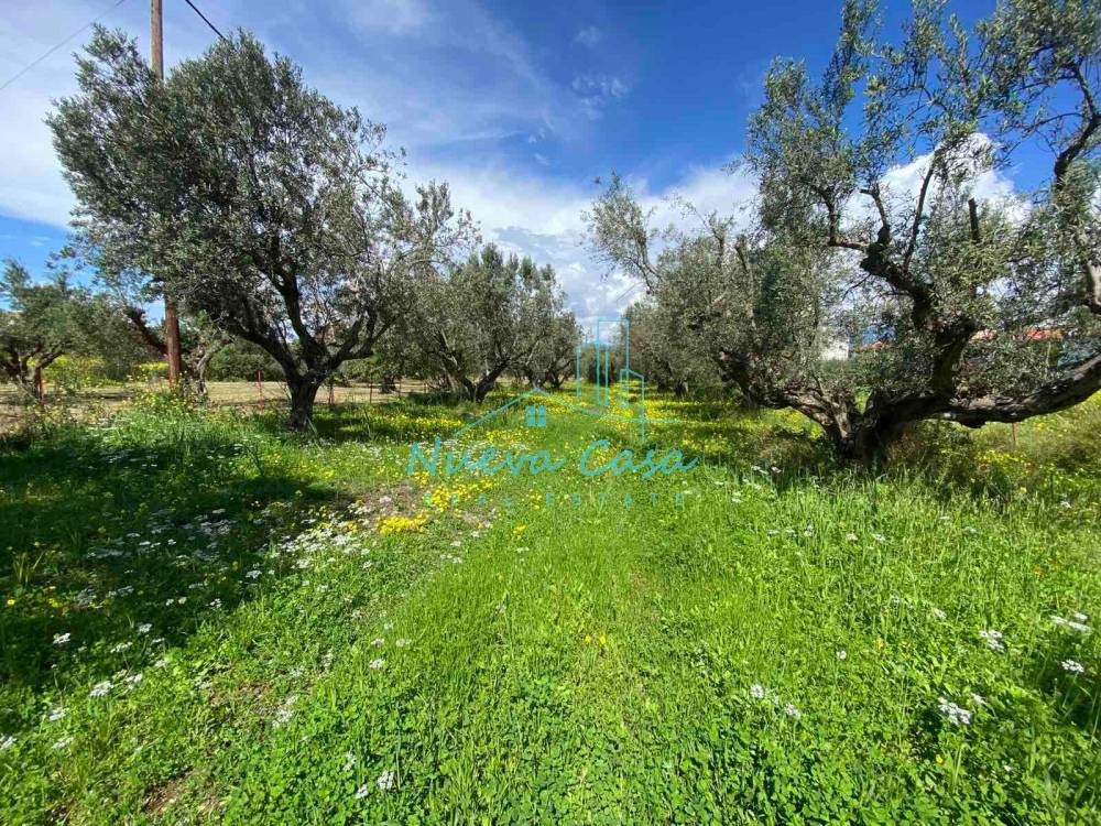 Οικόπεδο 1.100 τ.μ. για πώληση, Αχαΐα, Ρίο