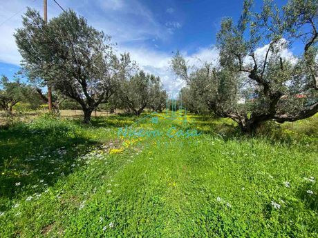 Οικόπεδο 1.100τ.μ. για πώληση-Ρίο » Ακταίο