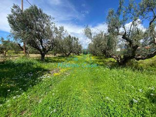 Οικόπεδο 1.100 τ.μ. για πώληση