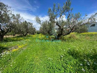 Οικόπεδο 1.100 τ.μ. για πώληση, Αχαΐα, Ρίο-thumb-6