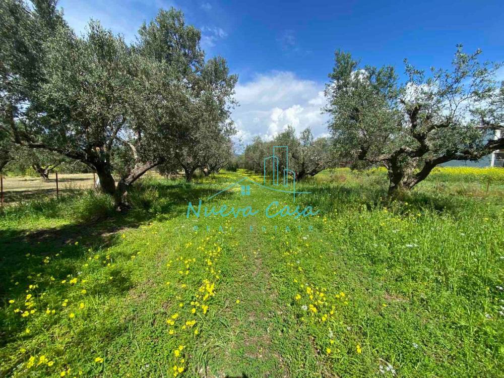Οικόπεδο 1.257 τ.μ. πρός πώληση, Αχαΐα, Ρίο