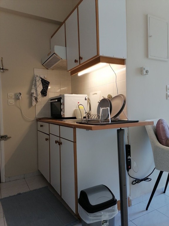 Studio / γκαρσονιέρα 24 τ.μ. προς ενοικίαση, Συχαινά