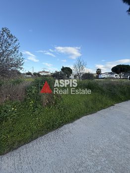 Land plot 8.800sqm for rent-Palaia Fokaia