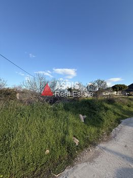 Land plot 5.800sqm for rent-Palaia Fokaia