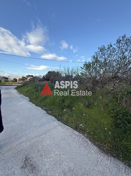 Land plot 3.000sqm for rent-Palaia Fokaia