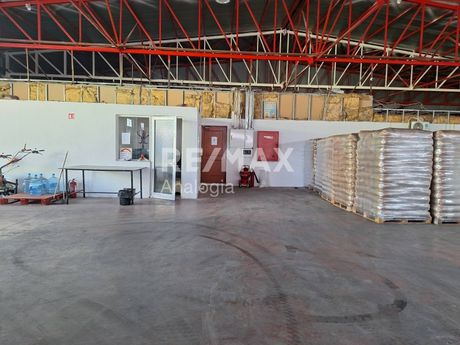 Craft space 4.600sqm for sale-Echedoros » Sindos