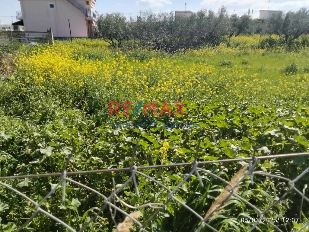 Οικόπεδο 1.290 τ.μ. προς πώληση, Μπολάτι