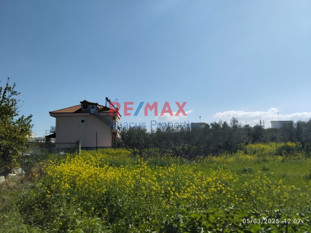 Οικόπεδο 1.290 τ.μ. προς πώληση, Μπολάτι