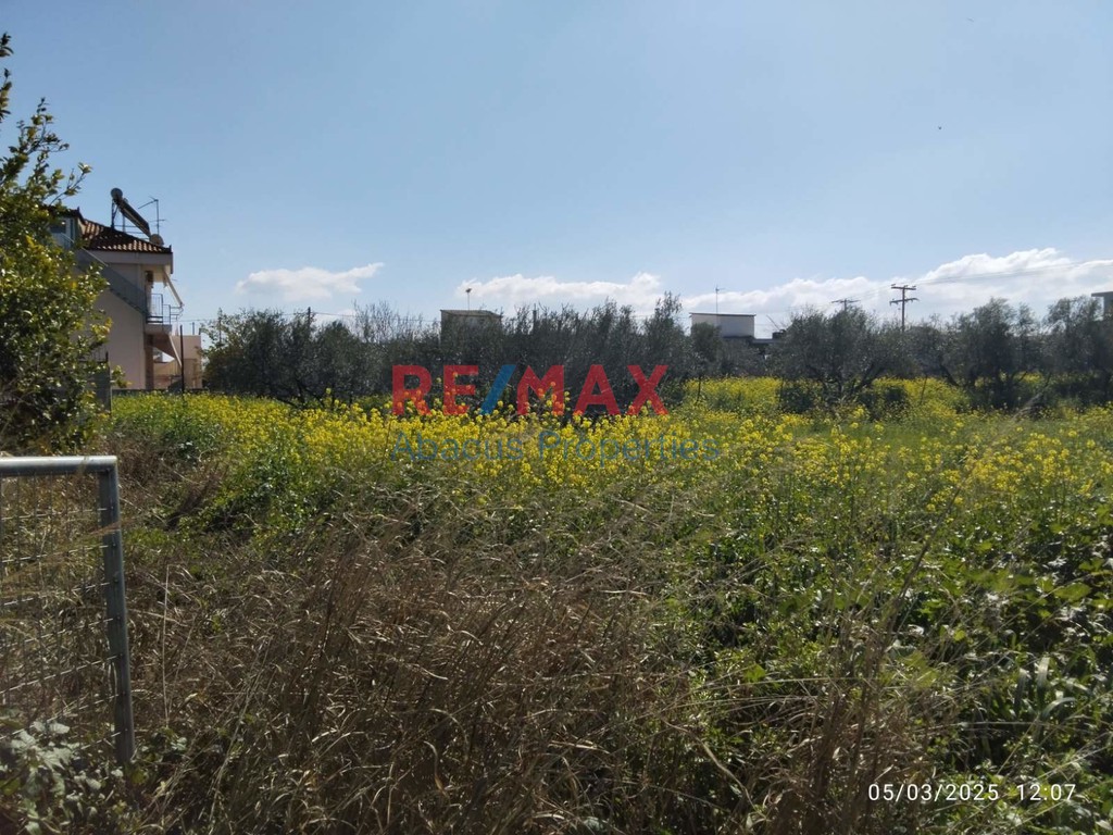 Οικόπεδο 1.290 τ.μ. προς πώληση, Μπολάτι