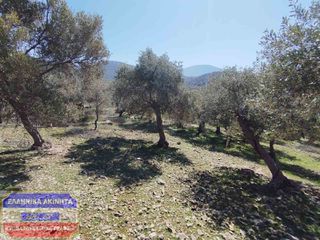 Οικόπεδο 7.500 τ.μ. για πώληση, Ν. Καβάλας, Θάσος-thumb-2
