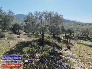Οικόπεδο 7.500 τ.μ. για πώληση, Ν. Καβάλας, Θάσος-thumb-1