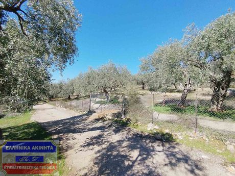 Οικόπεδο 7.500τ.μ. για πώληση-Θάσος