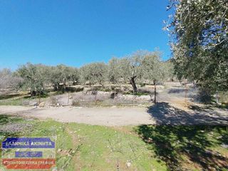 Οικόπεδο 7.500 τ.μ. για πώληση, Ν. Καβάλας, Θάσος-thumb-3