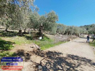 Οικόπεδο 7.500 τ.μ. για πώληση, Ν. Καβάλας, Θάσος-thumb-4