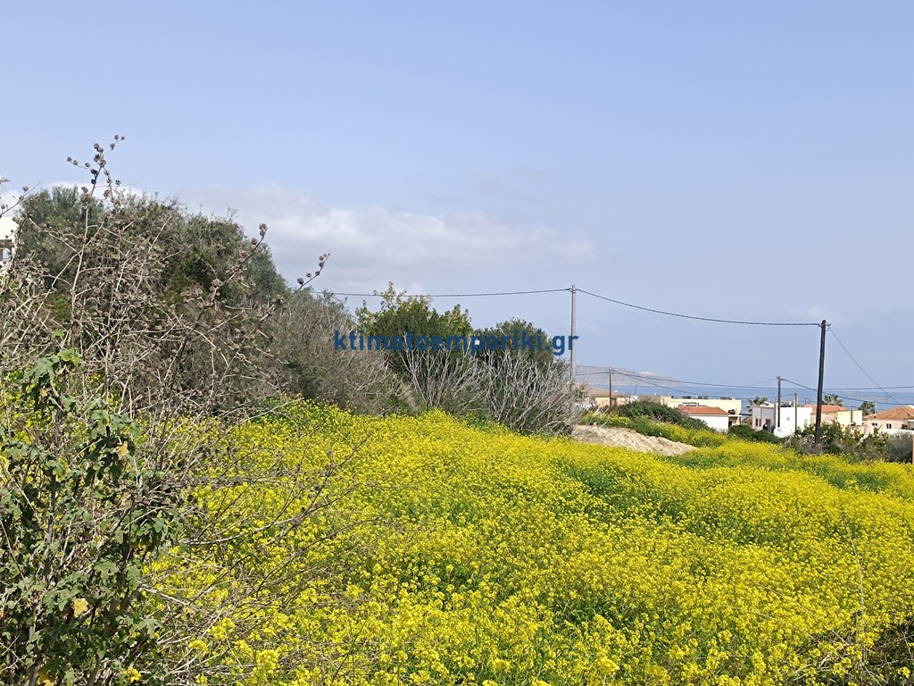 Οικόπεδο 1.402 τ.μ. πρός πώληση, Ν. Χανίων, Βάμος