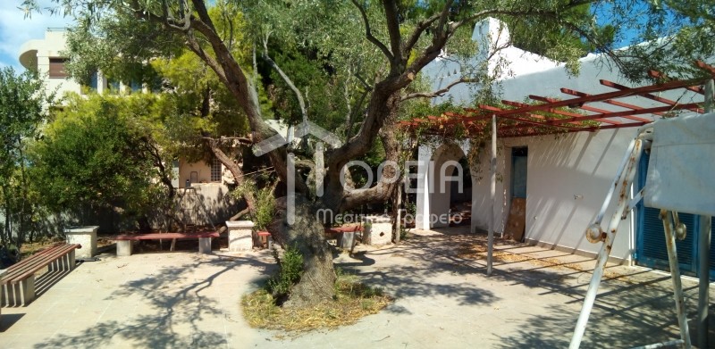 Οικόπεδο 1.250 τ.μ. πρός πώληση, Αττική - Υπόλοιπο, Σαρωνίδα