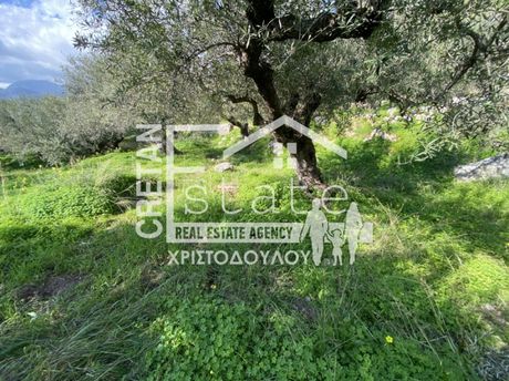 Αγροτεμάχια 871τ.μ. για πώληση-Βουπρασία » Ανάληψη