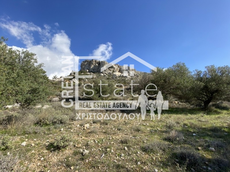 Αγροτεμάχια 871 τ.μ. προς πώληση, Ανάληψη Βουπρασίας