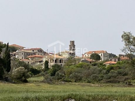Οικόπεδο 9.000τ.μ. για πώληση-Αρτεμίσιο