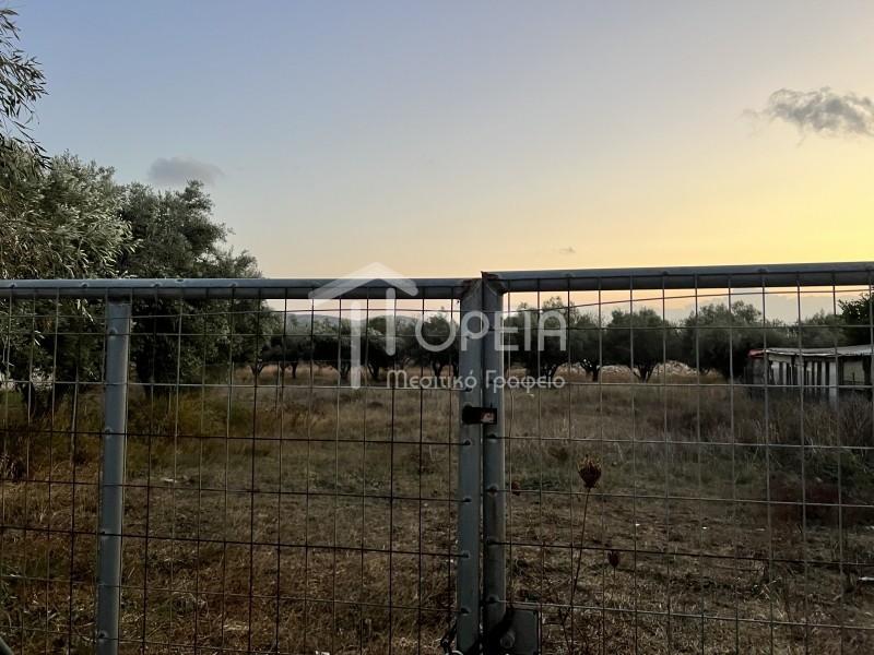 Οικόπεδο 320 τ.μ. πρός πώληση, Αττική - Υπόλοιπο, Ανάβυσσος