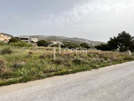 Οικόπεδο 1.256 τ.μ. για πώληση