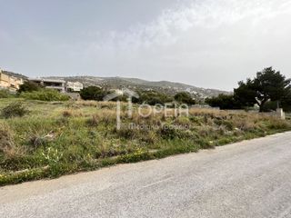 Οικόπεδο 1.256 τ.μ. για πώληση