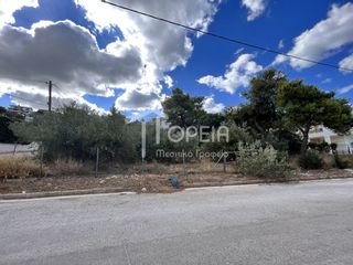Οικόπεδο 810 τ.μ. για πώληση, Αττική - Υπόλοιπο, Σαρωνίδα-thumb-2