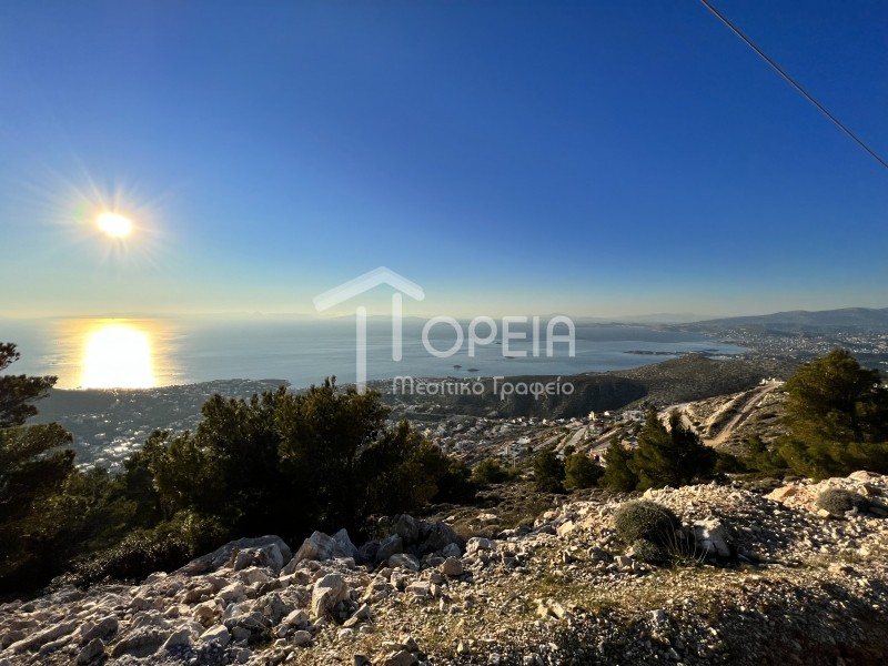 Οικόπεδο 637 τ.μ. πρός πώληση, Αττική - Υπόλοιπο, Σαρωνίδα