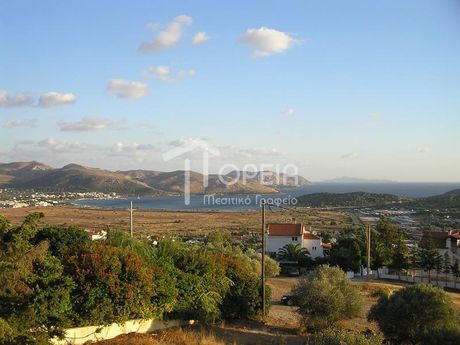 Μονοκατοικία 310τ.μ. για πώληση-Ανάβυσσος » Μαύρο λιθάρι