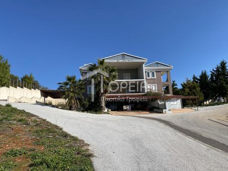 Μονοκατοικία 900τ.μ. για πώληση-Κορωπί » Αγία μαρίνα