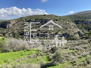 Αγροτεμάχια 872 τ.μ. για πώληση