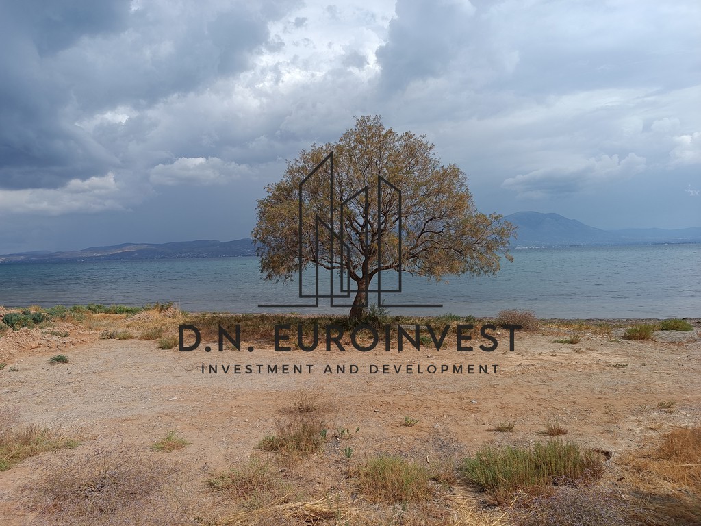Οικόπεδο 263 τ.μ. πρός πώληση, Αττική - Υπόλοιπο, Κ. Σκάλας Ωρωπού
