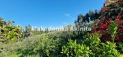 Parcel 4.004sqm for sale-Kassandra » Sani