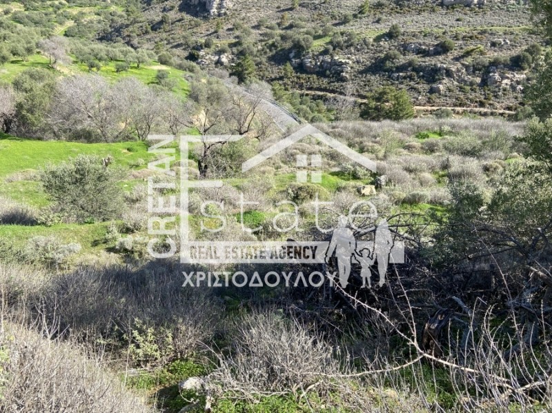 Αγροτεμάχια 1.669 τ.μ. προς πώληση, Ανάληψη Βουπρασίας