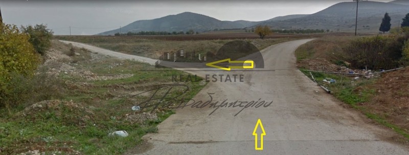 Αγροτεμάχια 14.375 τ.μ. πρός πώληση, Μαγνησία, Φερών