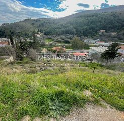 Οικόπεδο 290 τ.μ. πρός πώληση, Ν. Χίου, Χίος-thumb-10