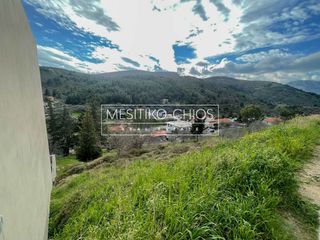 Οικόπεδο 290 τ.μ. πρός πώληση, Ν. Χίου, Χίος-thumb-7