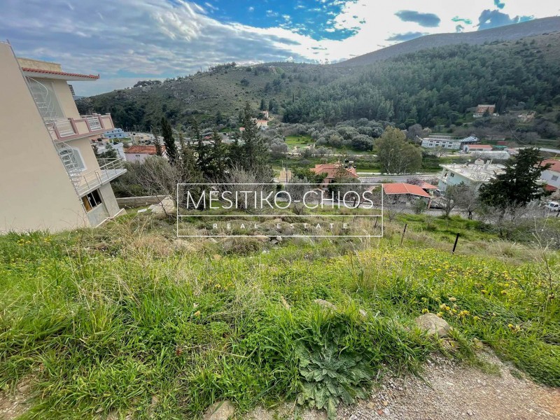 Οικόπεδο 290 τ.μ. πρός πώληση, Ν. Χίου, Χίος